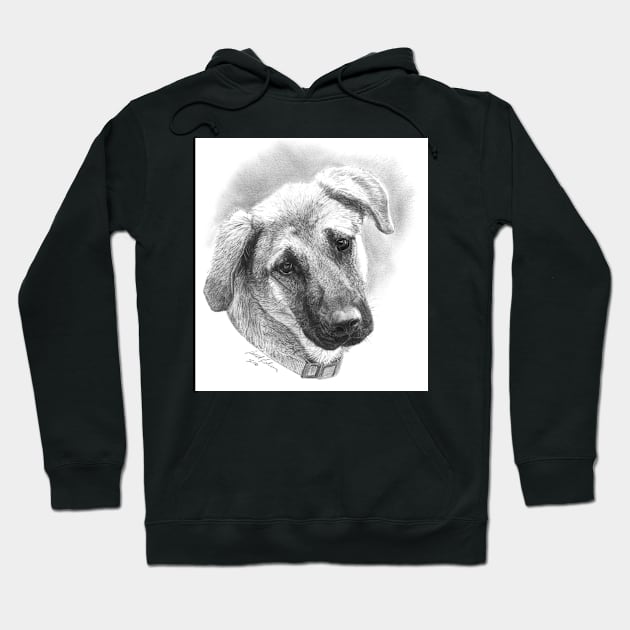 Puppy - Mixed Breed - Dog Illustration Hoodie by allthumbs